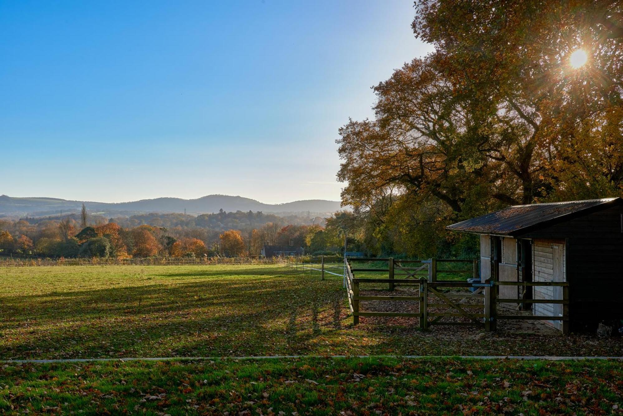 Rogate Stunning Cabin With Incredible Views Near Goodwood מראה חיצוני תמונה
