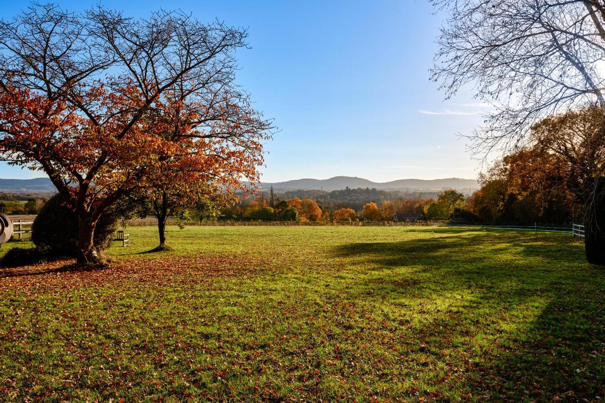 Rogate Stunning Cabin With Incredible Views Near Goodwood מראה חיצוני תמונה