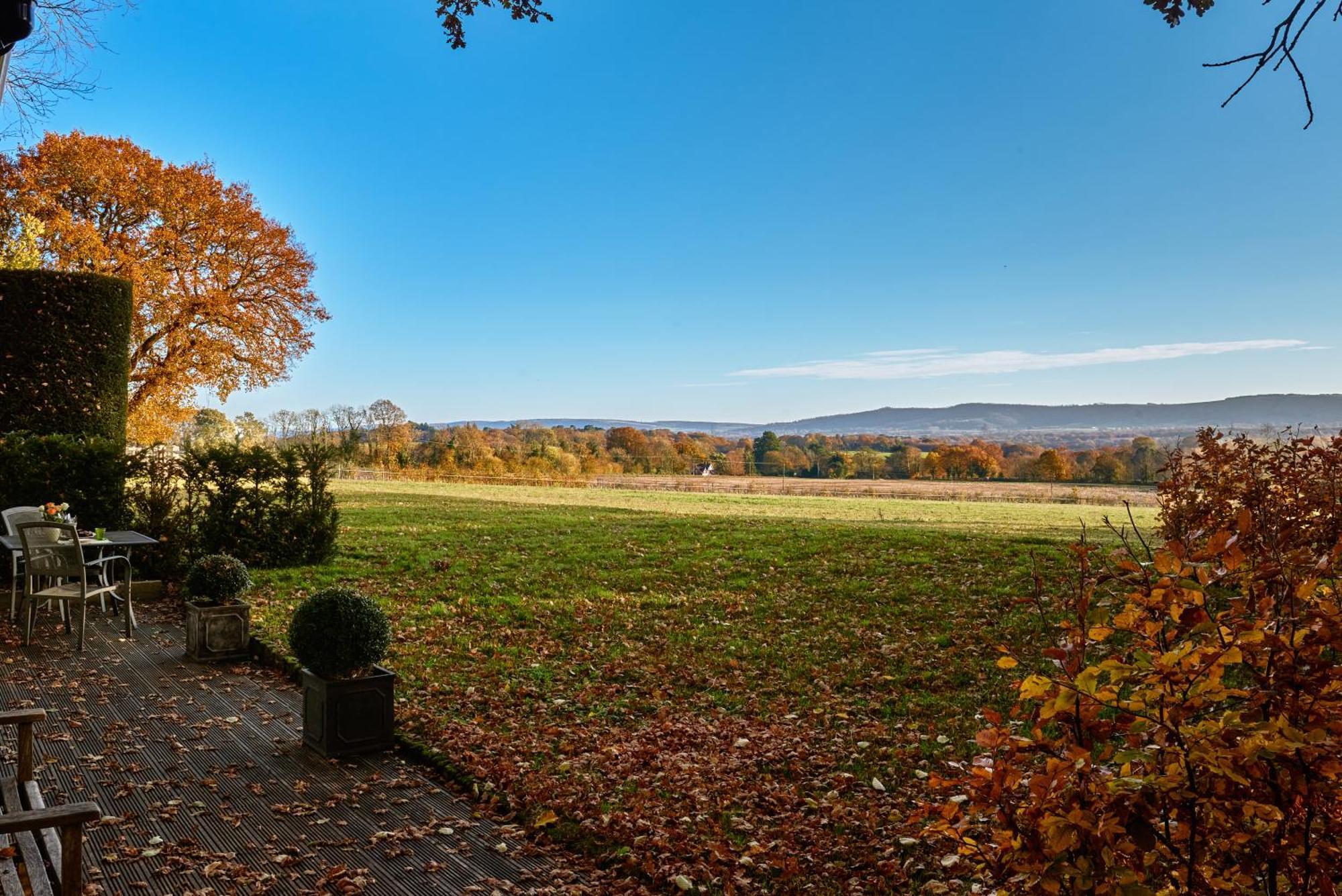 Rogate Stunning Cabin With Incredible Views Near Goodwood מראה חיצוני תמונה