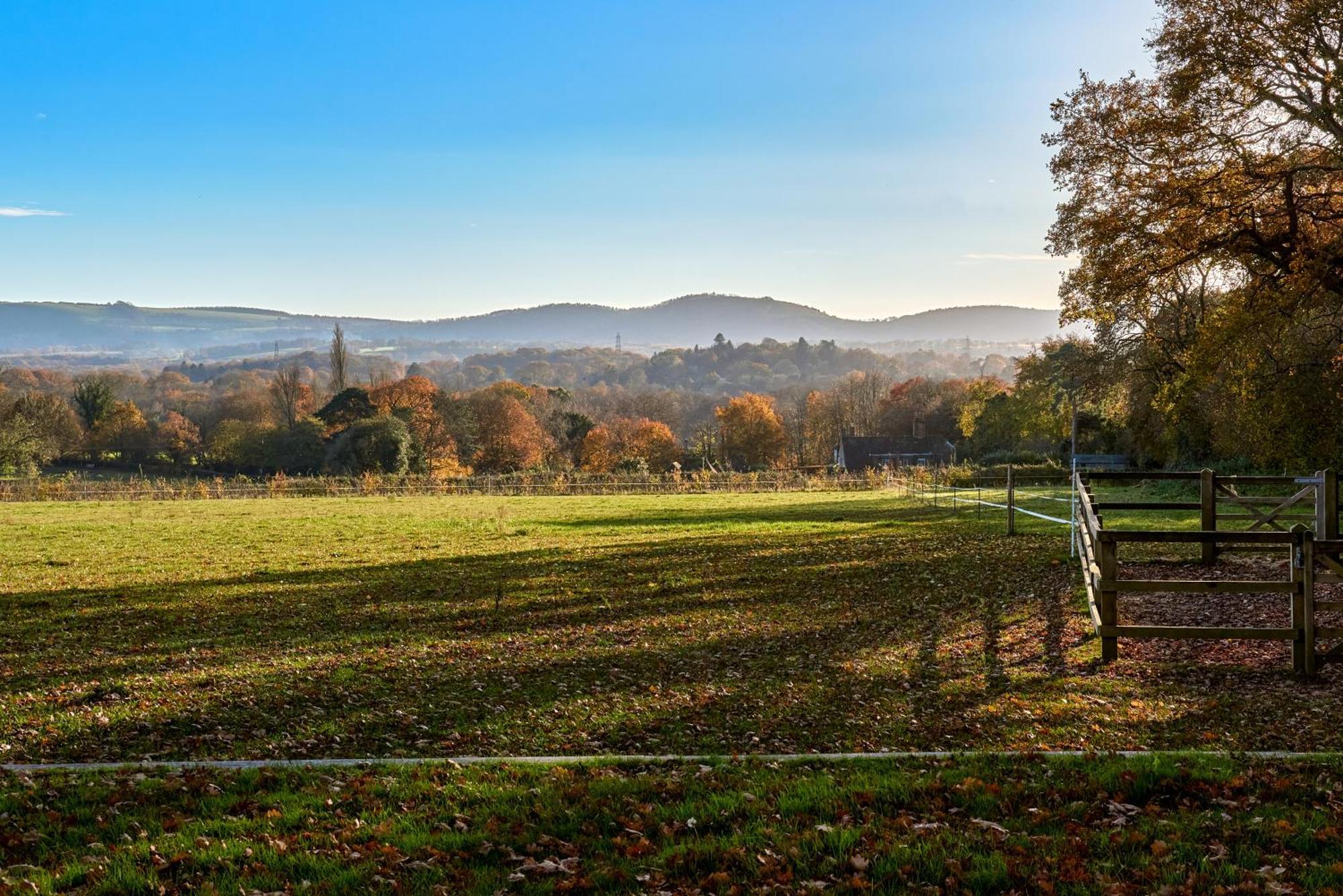 Rogate Stunning Cabin With Incredible Views Near Goodwood מראה חיצוני תמונה