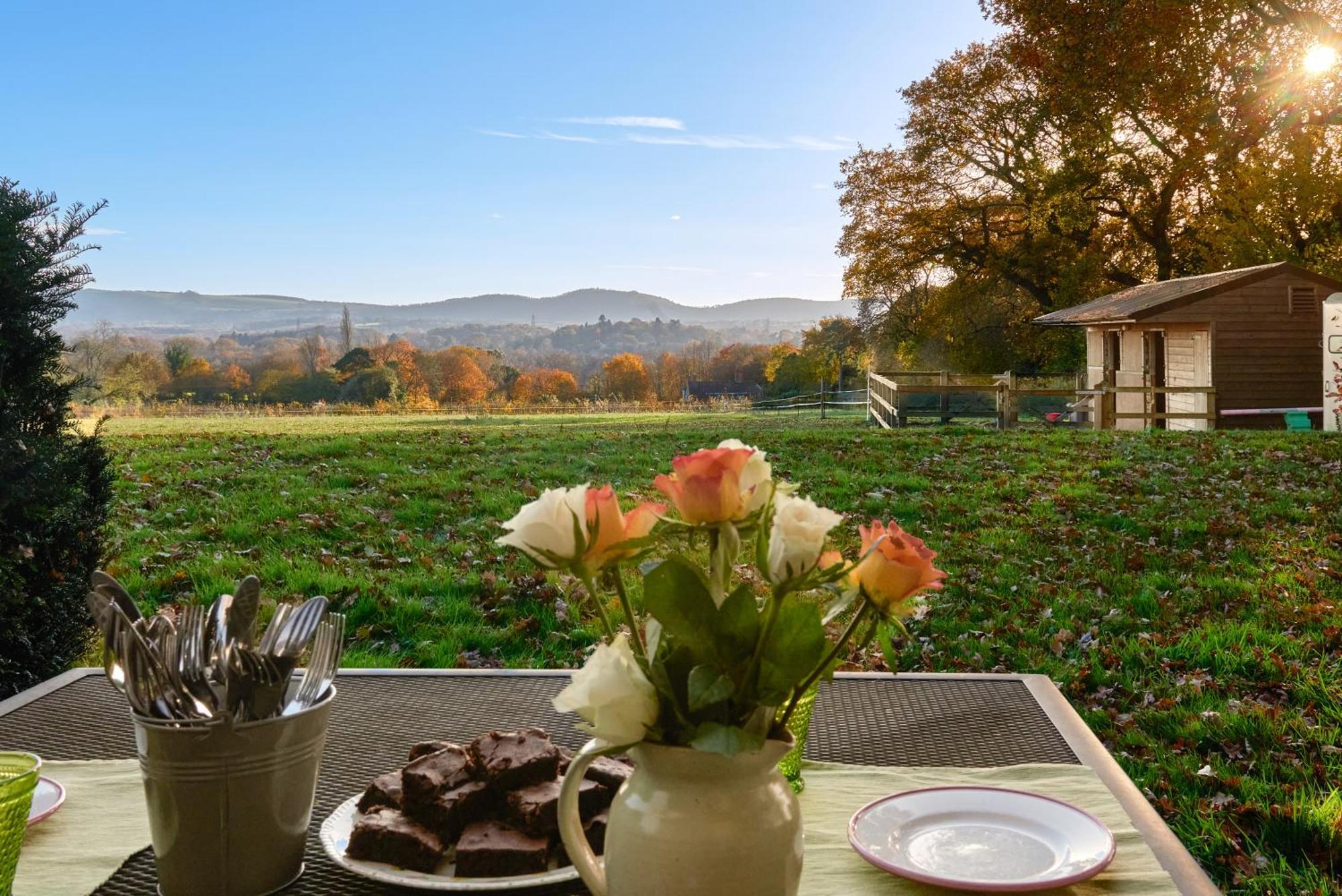 Rogate Stunning Cabin With Incredible Views Near Goodwood מראה חיצוני תמונה