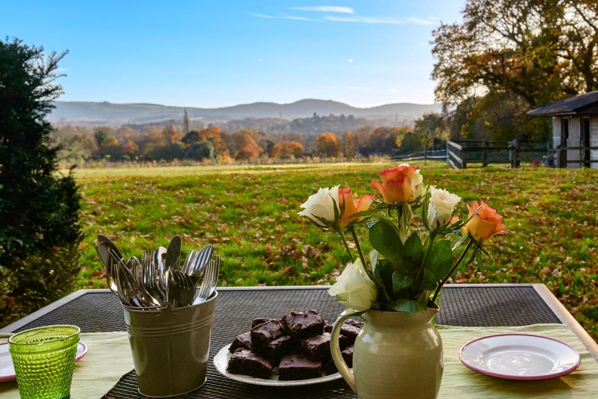 Rogate Stunning Cabin With Incredible Views Near Goodwood מראה חיצוני תמונה